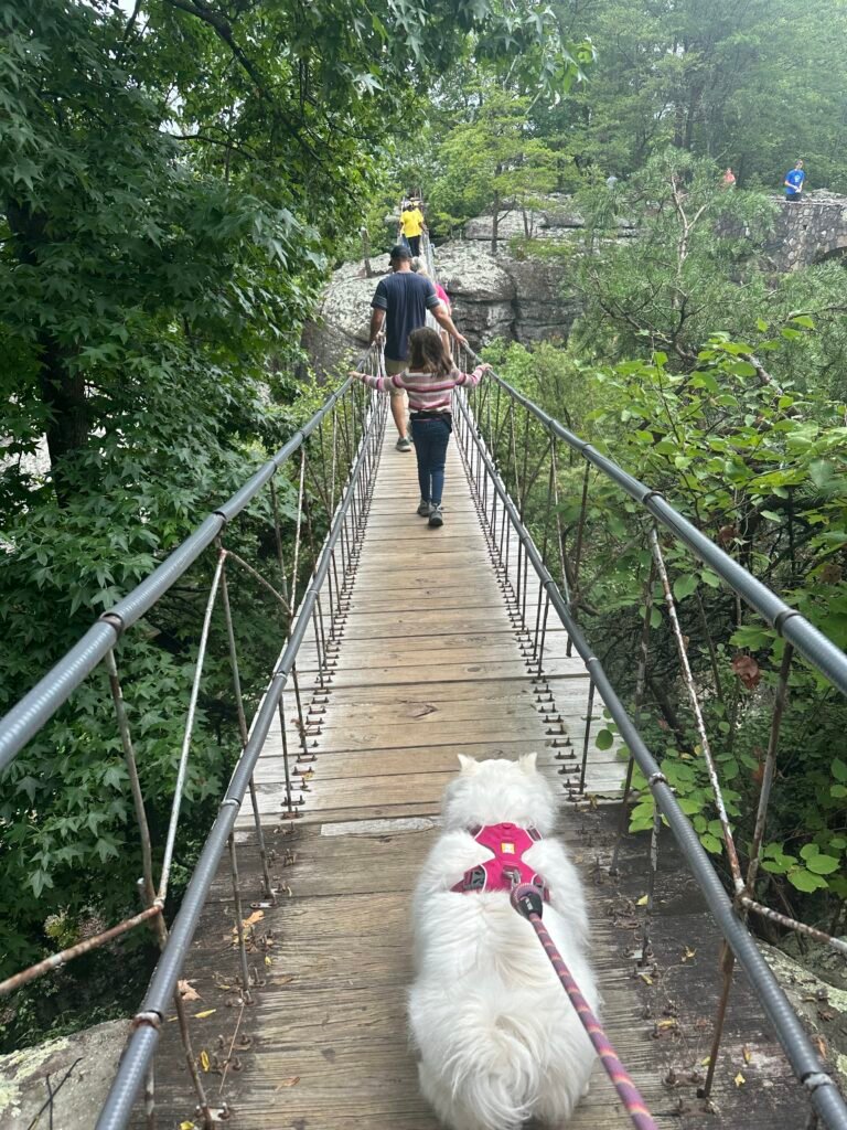 Rock City Visitor’s Guide