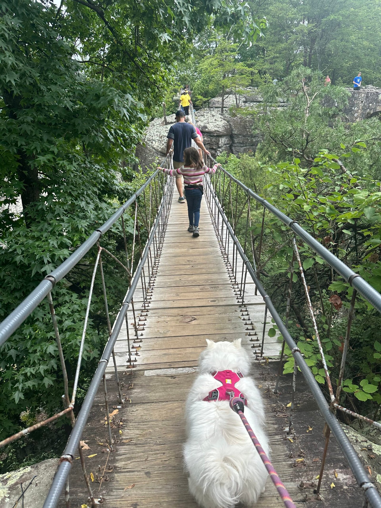 Rock City Visitor’s Guide